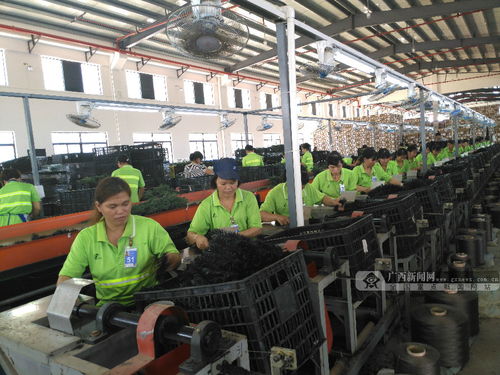 南宁“回马枪”行动 网络工程助力，15吨问题冻肉现原形